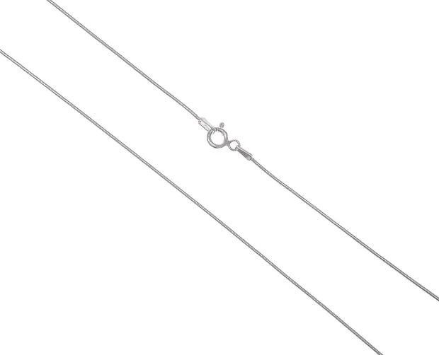 Silver Chain Snake