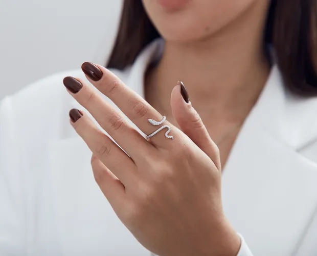 Silver ring Snake