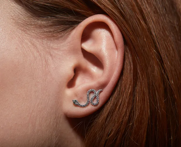 Silver earrings-climbers Snake