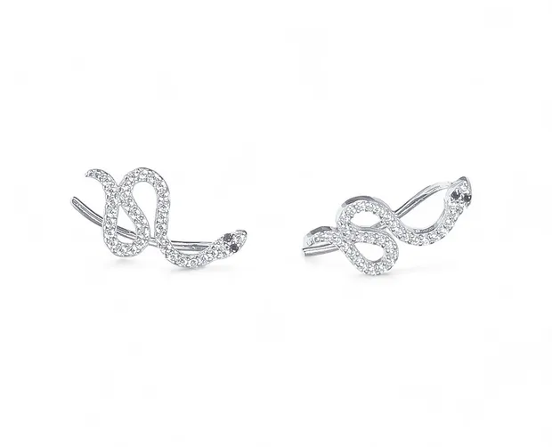Silver earrings-climbers Snake